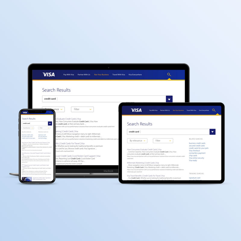 visa search screens